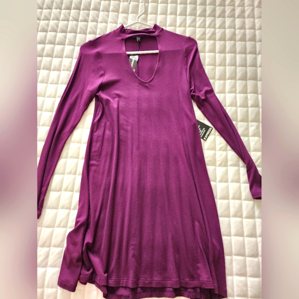 Express Long Sleeved Chest Cutout Mini Dress